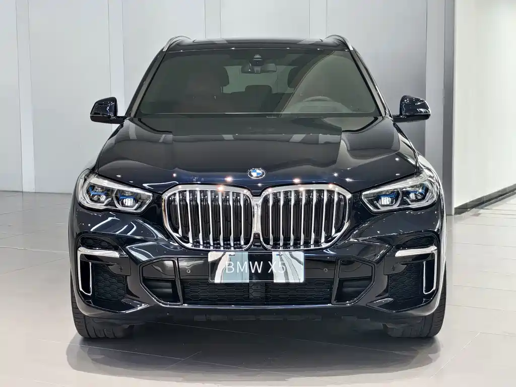 BMW X5 — миниатюра 2
