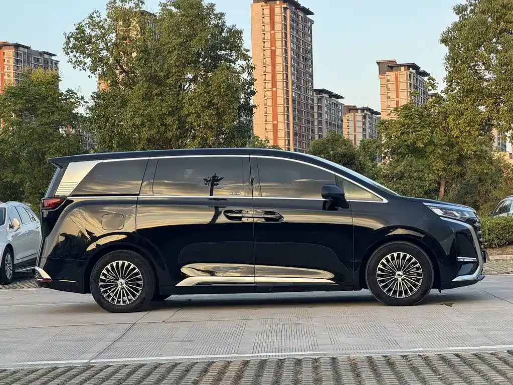 Denza Denza D9 — миниатюра 2