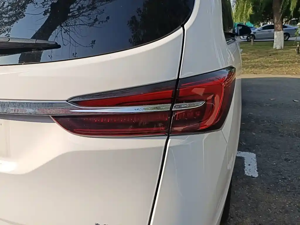 Buick GL8 — миниатюра 8