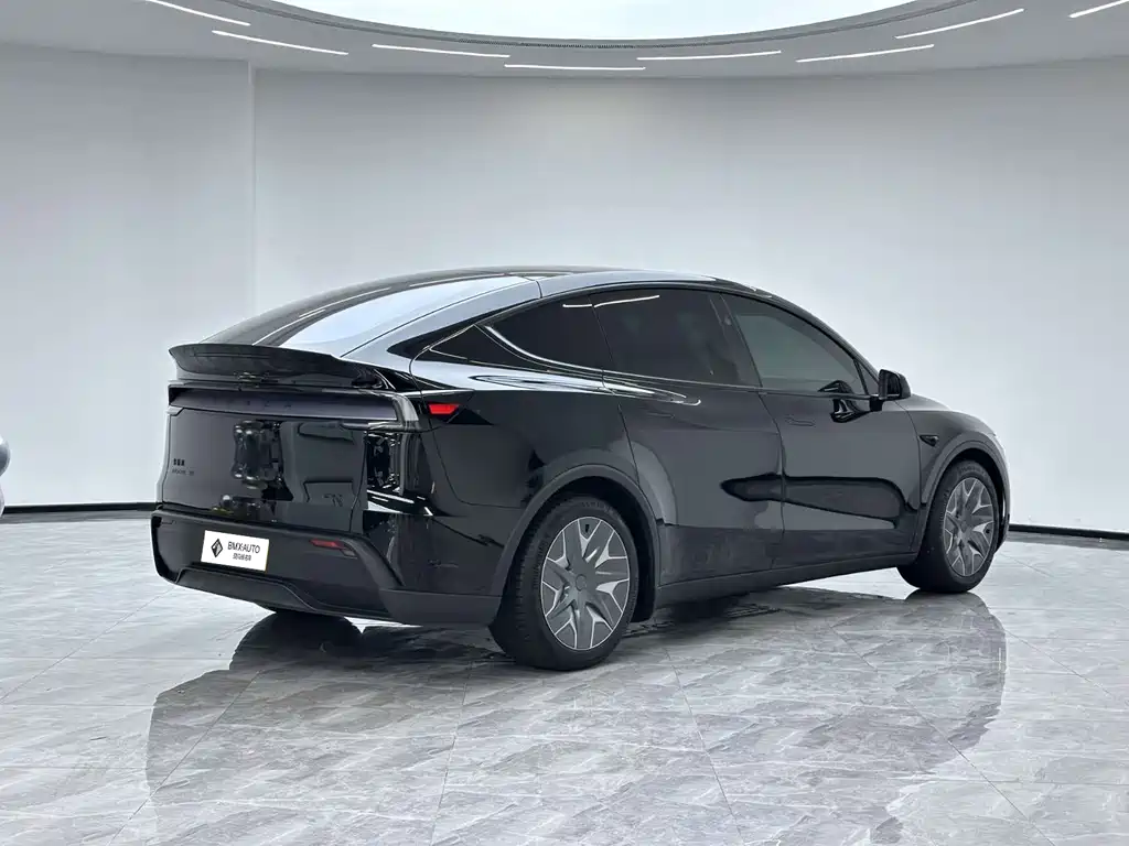 Tesla Model Y L — миниатюра 4