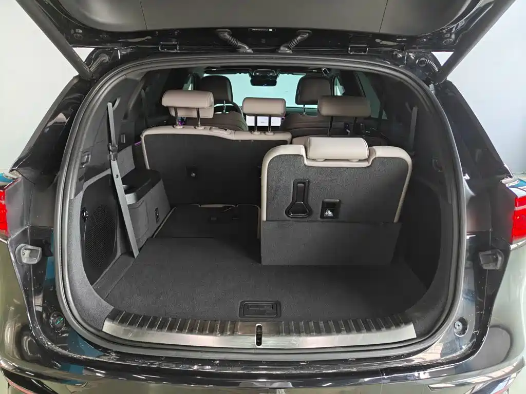 BYD Tang New Energy — миниатюра 17