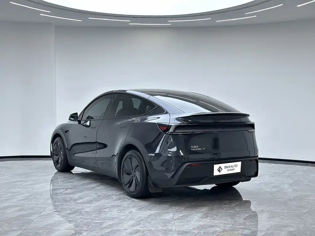 Tesla Model Y — миниатюра 3