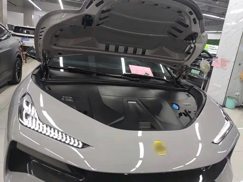 Lotus Eletre — миниатюра 20