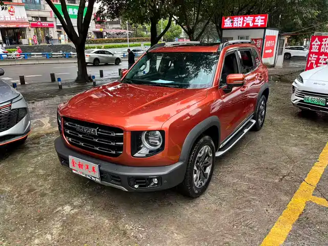 HAVAL BIG DOG