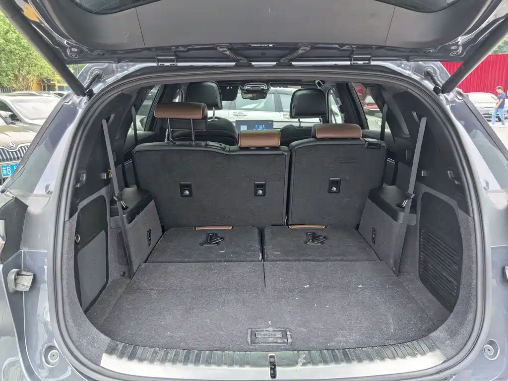 BYD Tang New Energy — миниатюра 9