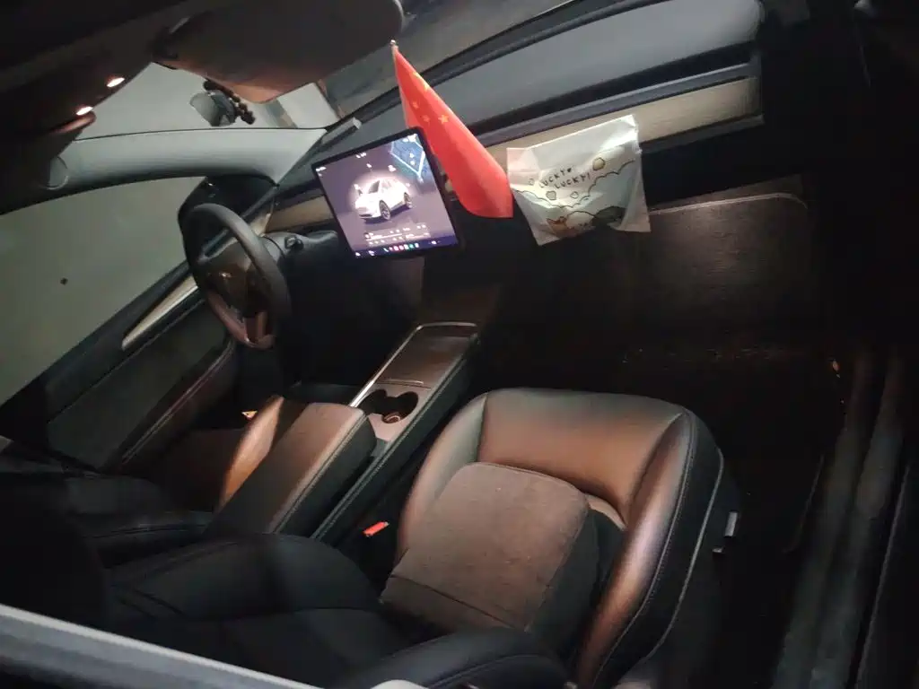 Tesla Model Y — миниатюра 20