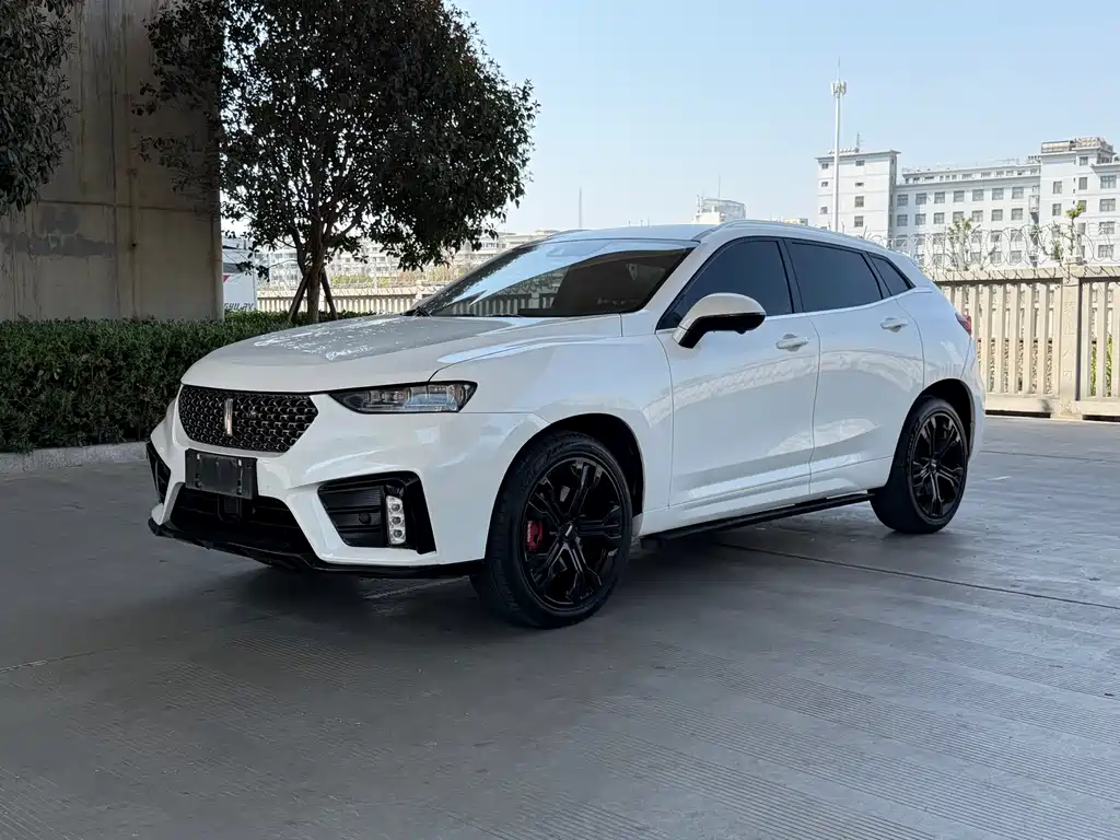 WEI PAI WEI BRAND VV7