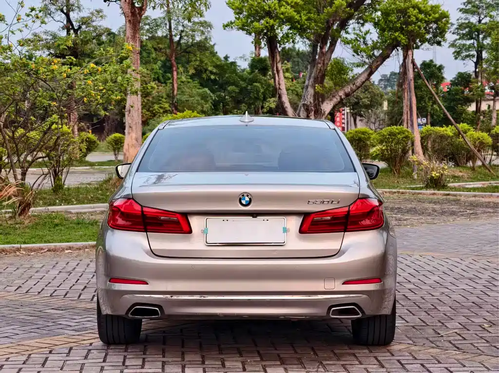 BMW 5 Series 5 2020 530Li Lead Luxury