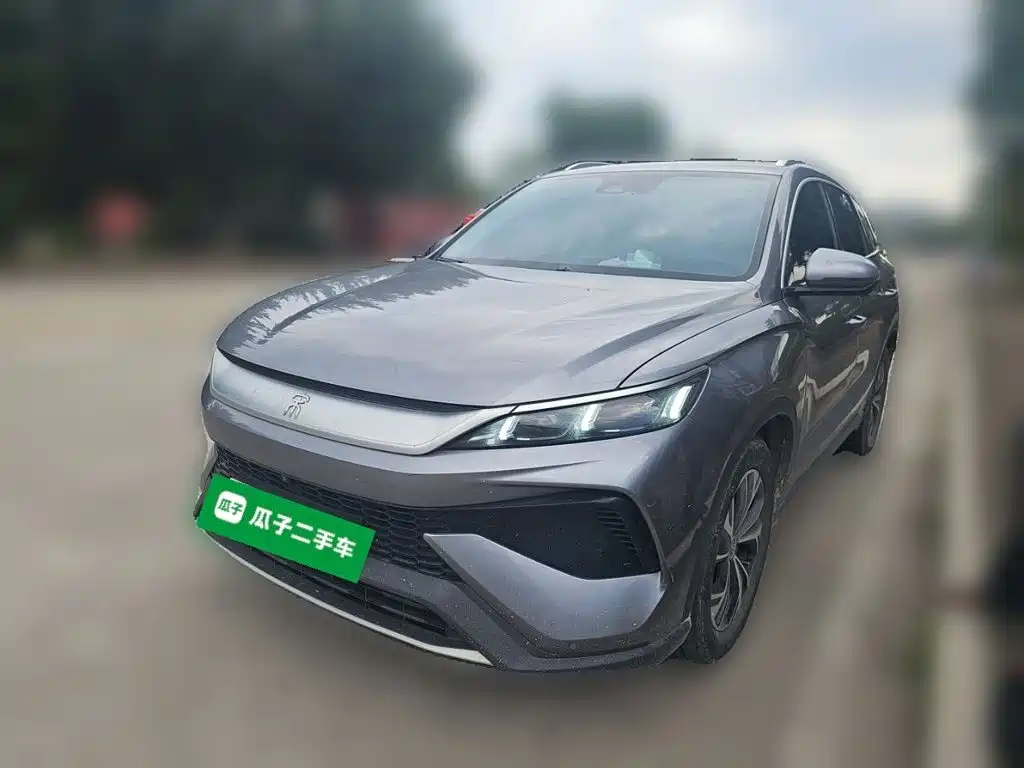 BYD Pro New Energy