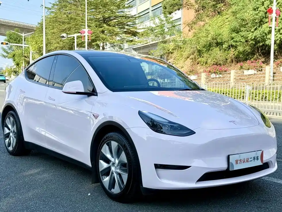 Tesla Model Y — миниатюра 6