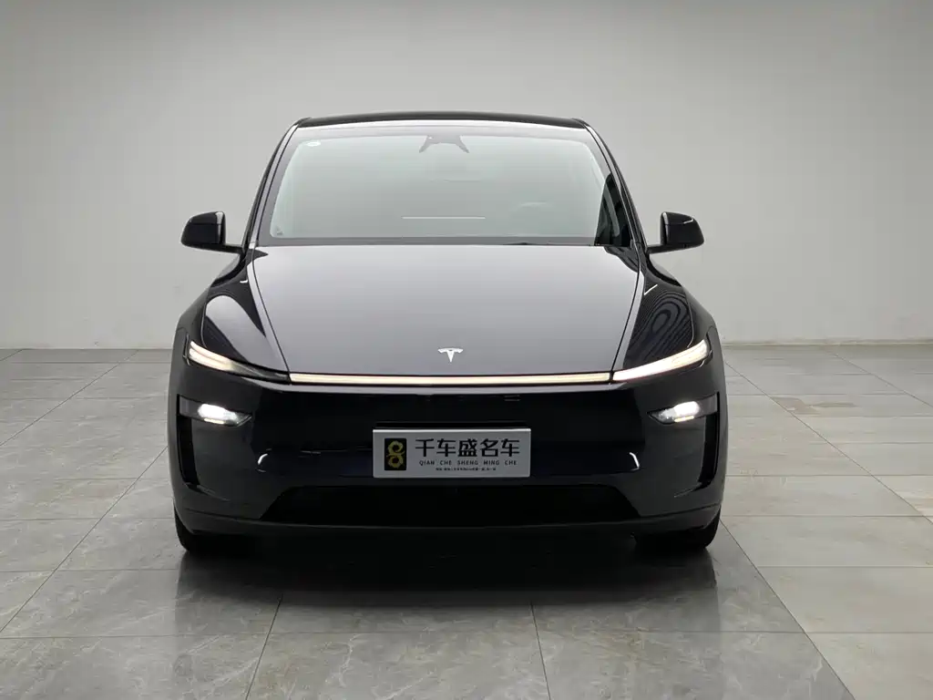 Tesla Model Y — миниатюра 2