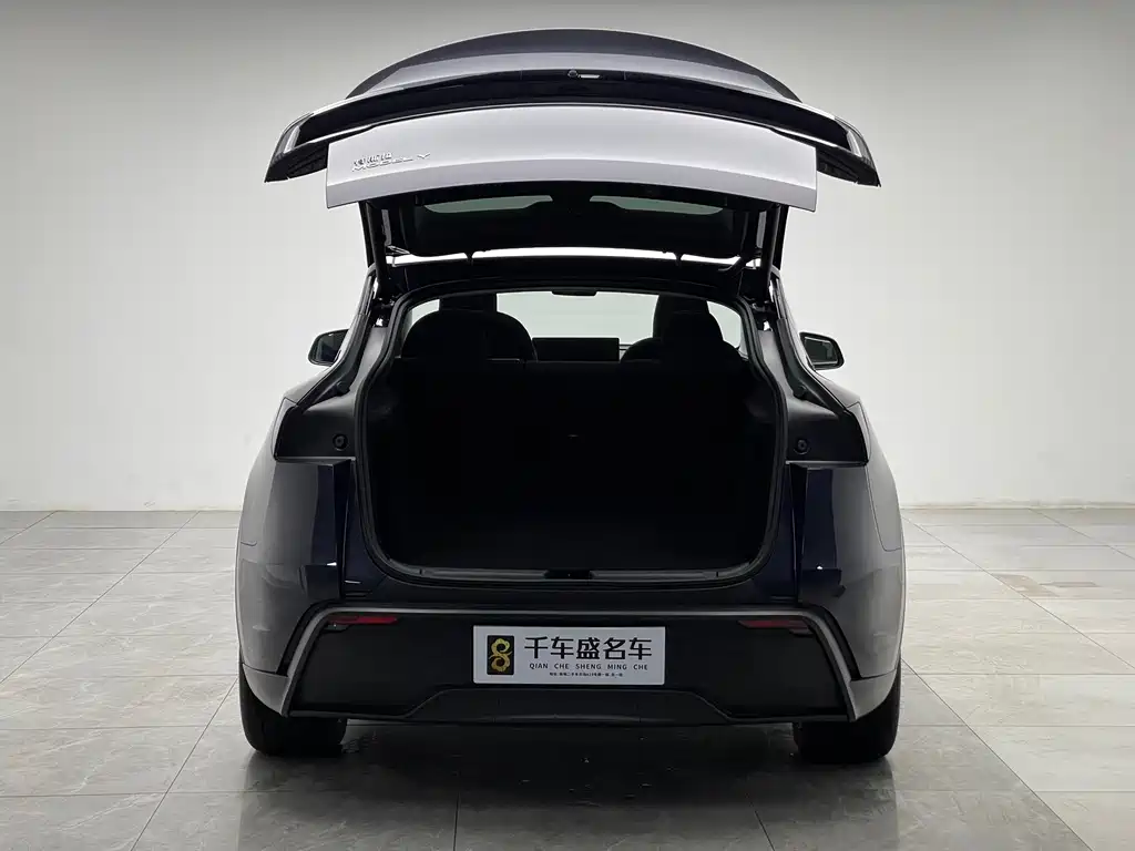 Tesla Model Y — миниатюра 10
