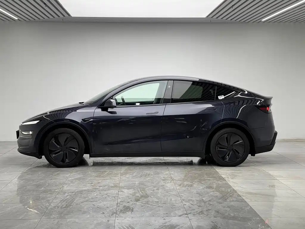 Tesla Model Y — миниатюра 7