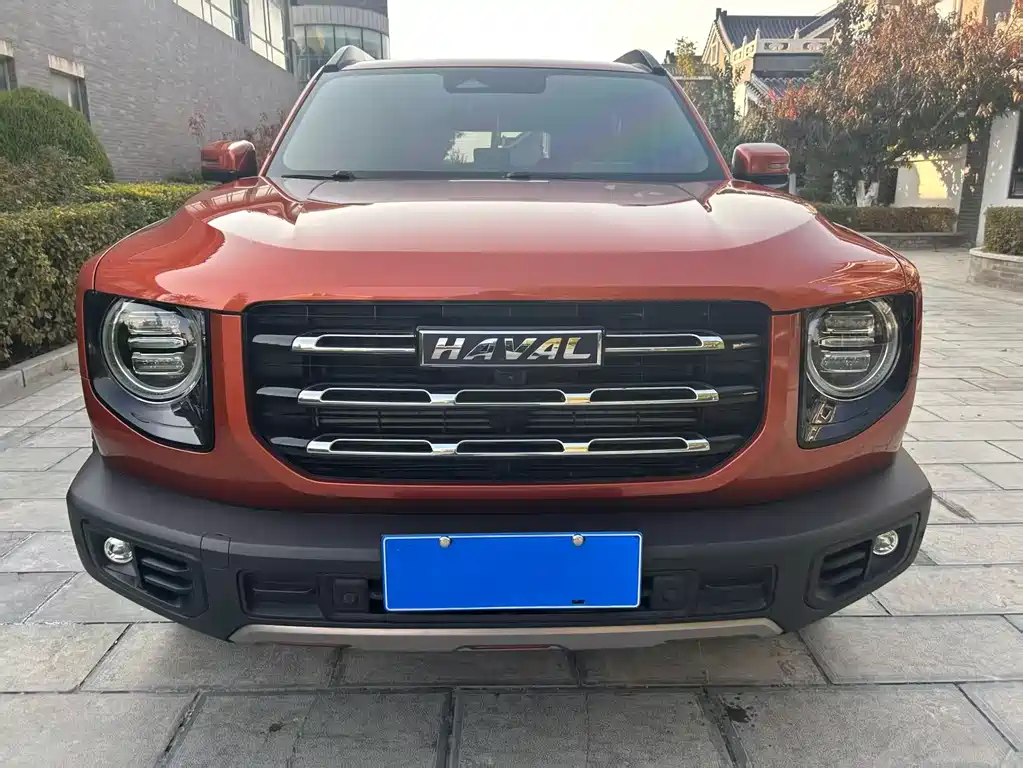 HAVAL BIG DOG