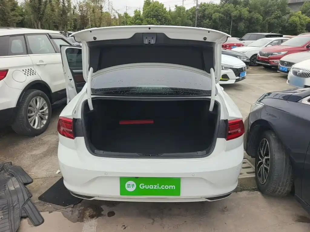 Volkswagen Lamando — миниатюра 19