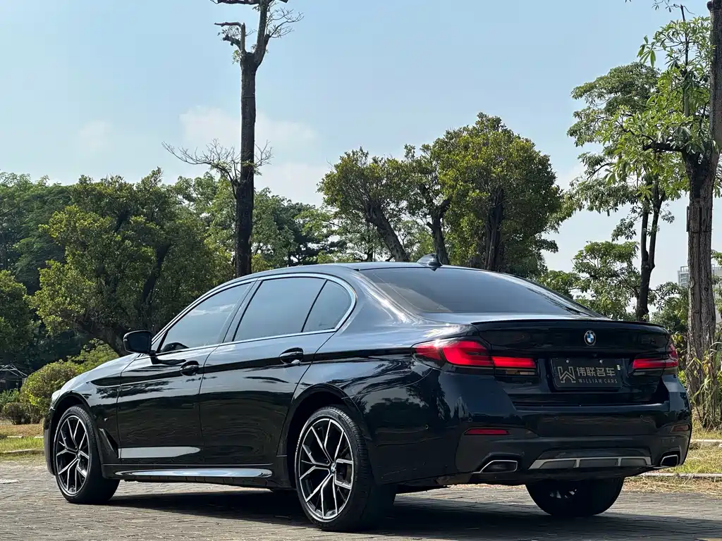 BMW 5 Series — миниатюра 4