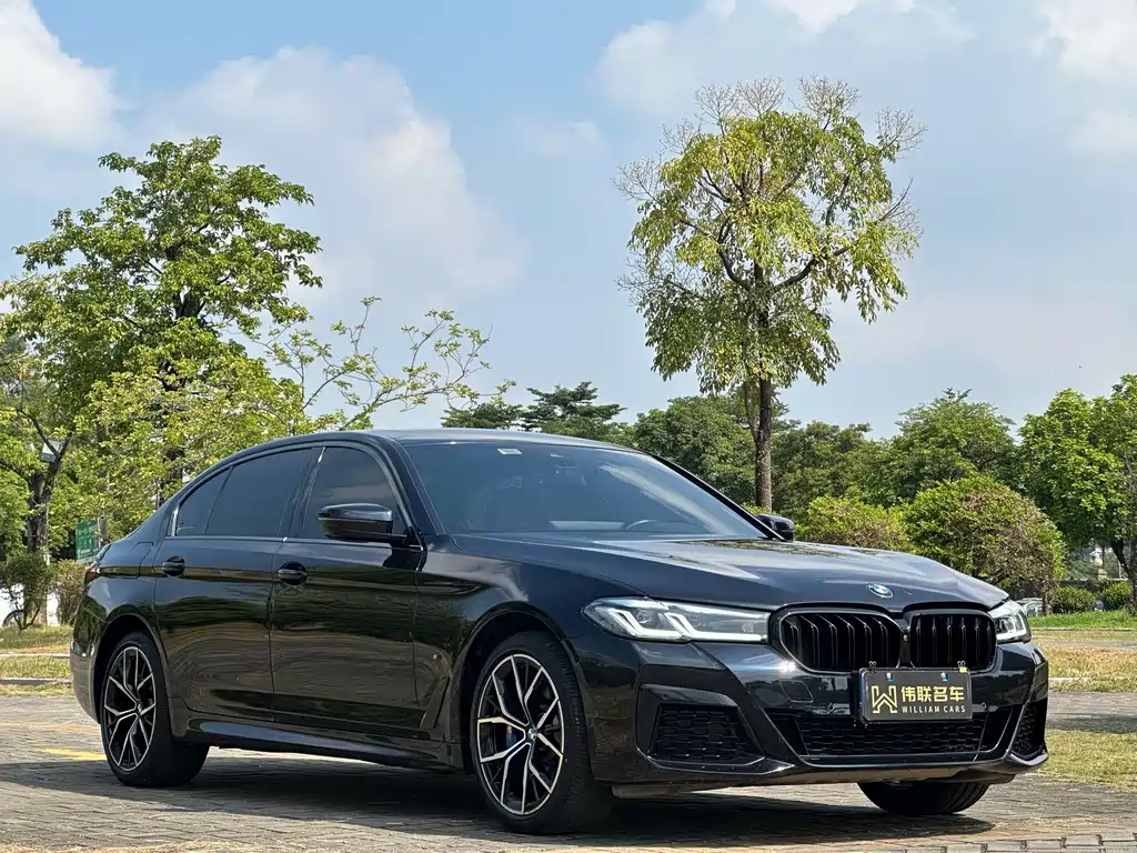 BMW 5 Series — миниатюра 3