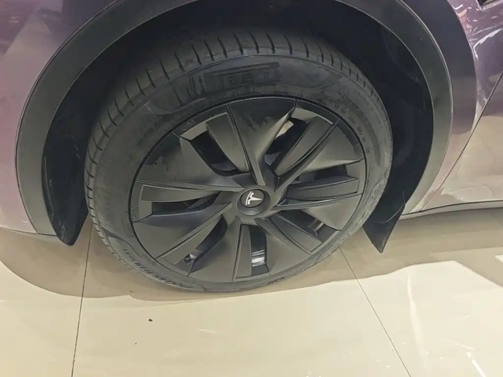 Tesla Model Y — миниатюра 23