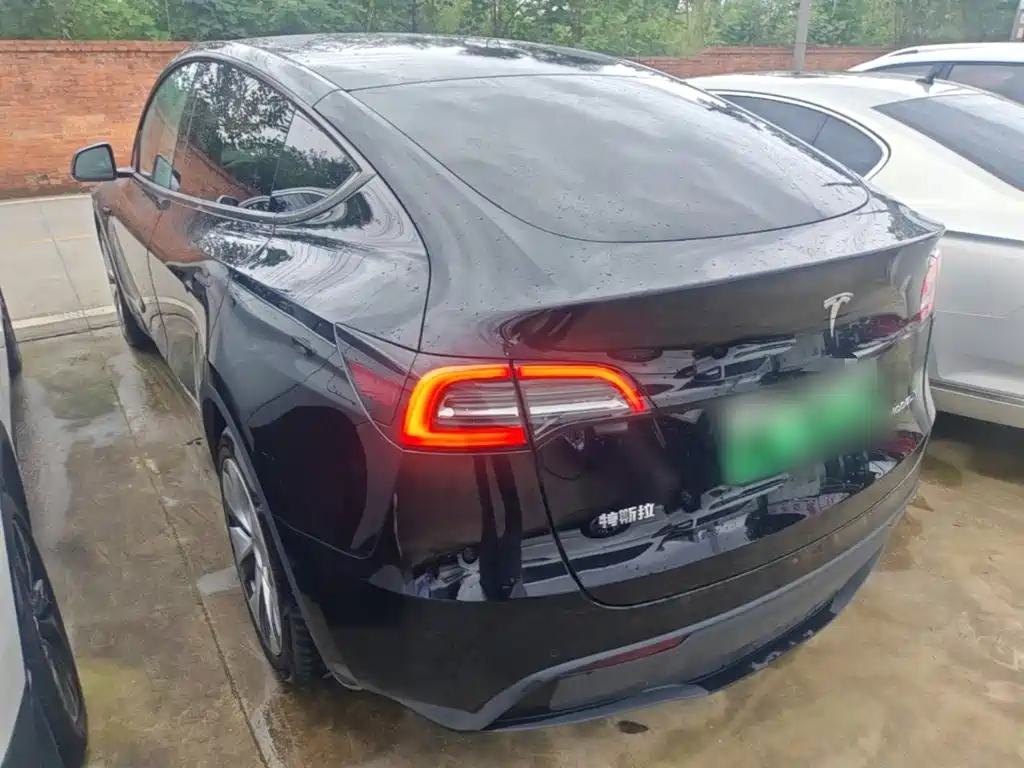 Tesla Model Y — миниатюра 5