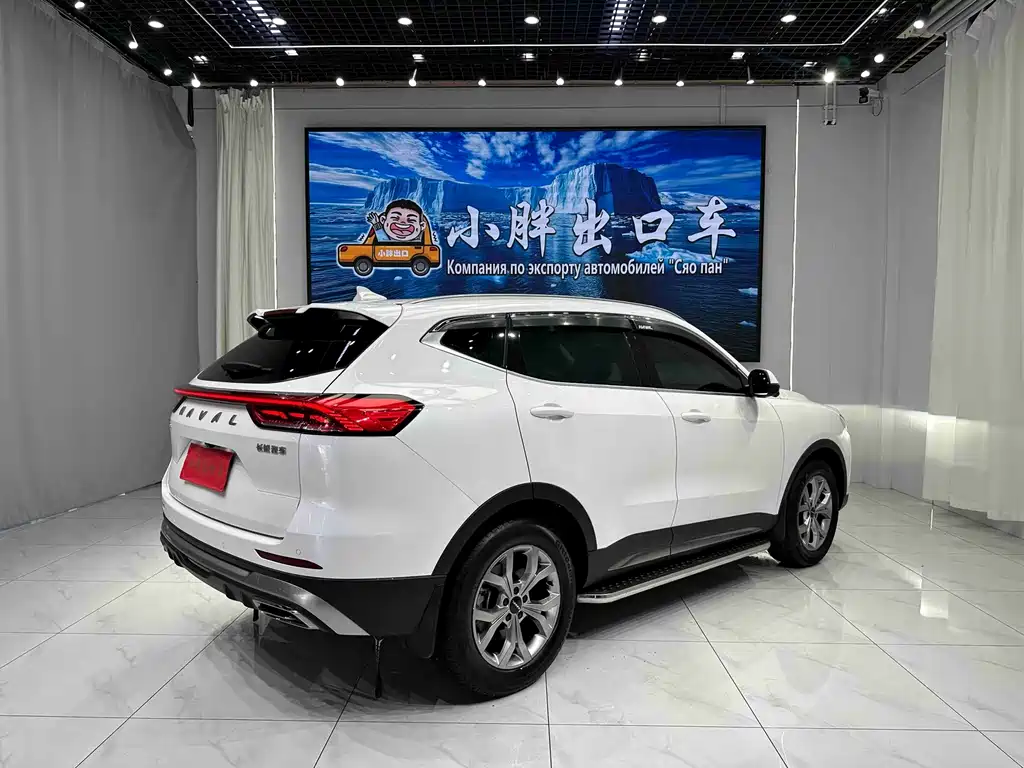 Haval H6 — миниатюра 4