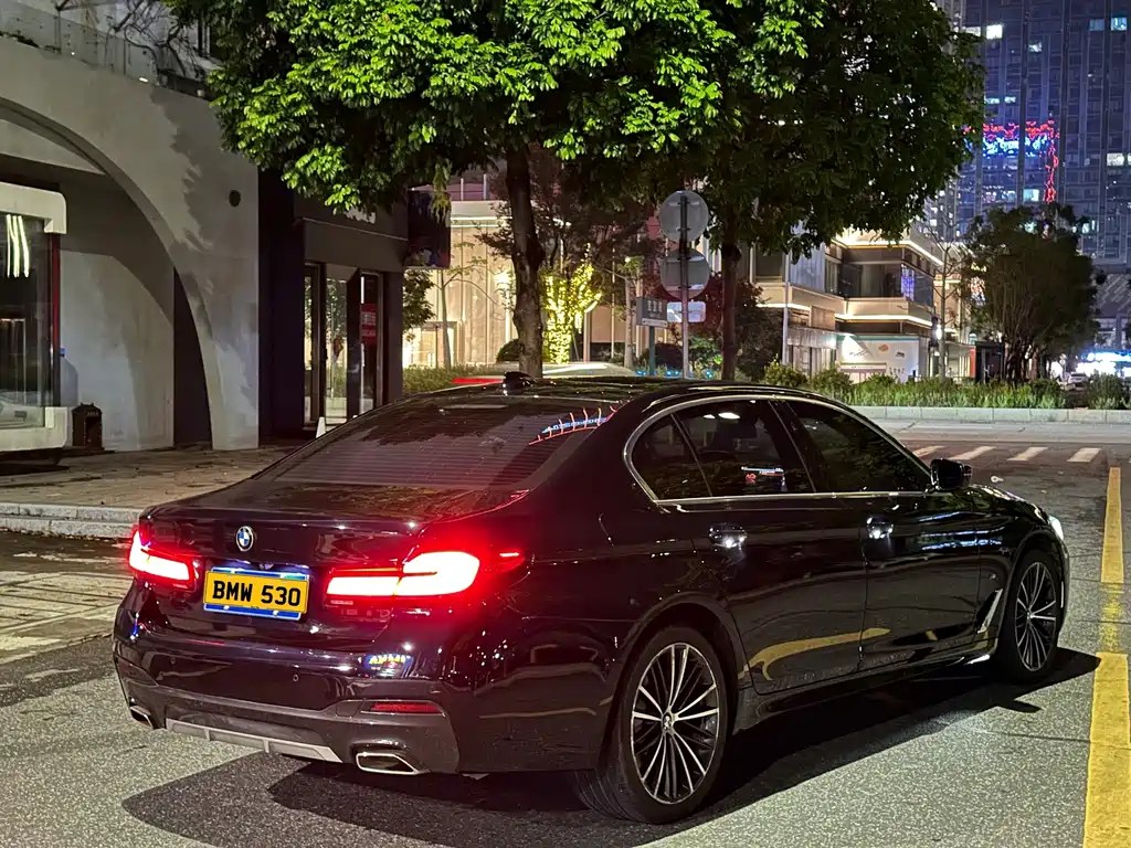 BMW 5 Series — миниатюра 3