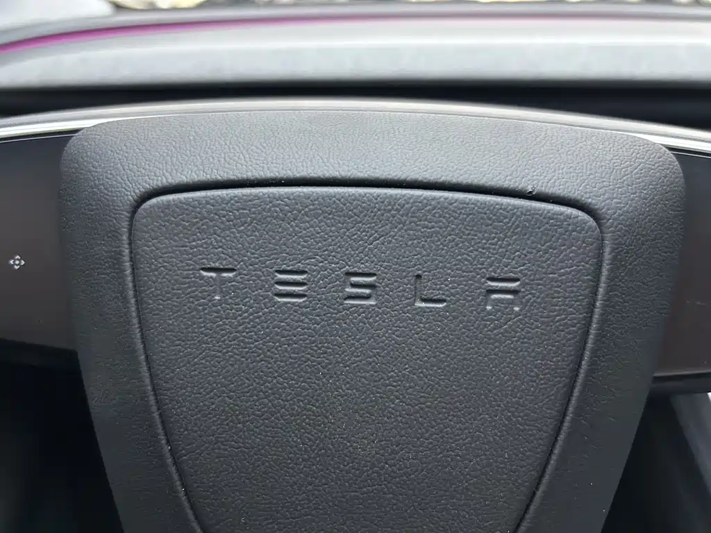 Tesla Model Y — миниатюра 23