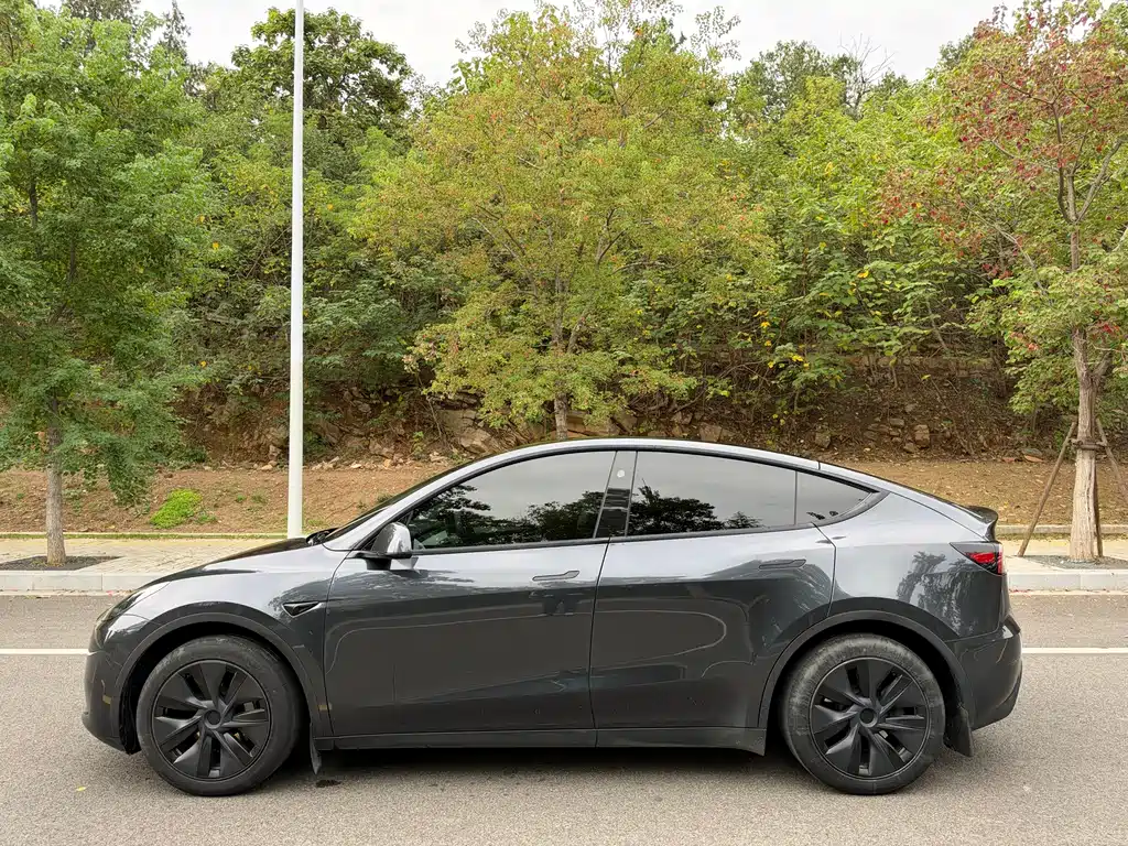Tesla Model Y — миниатюра 4