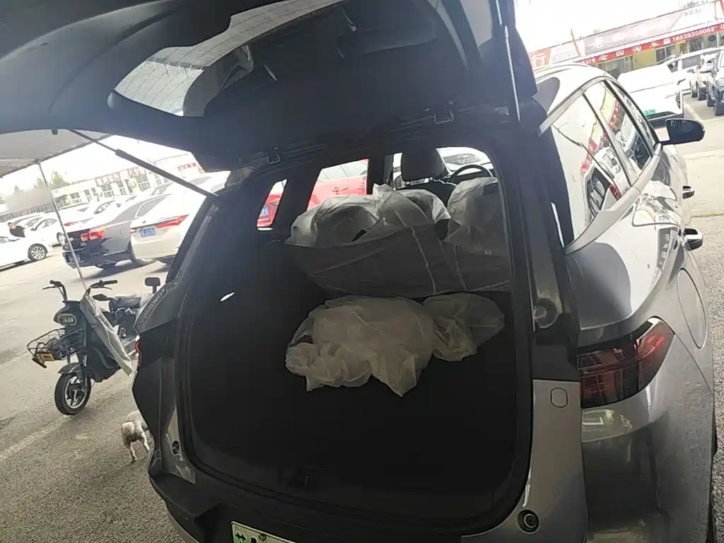 BYD Pro New Energy — миниатюра 19