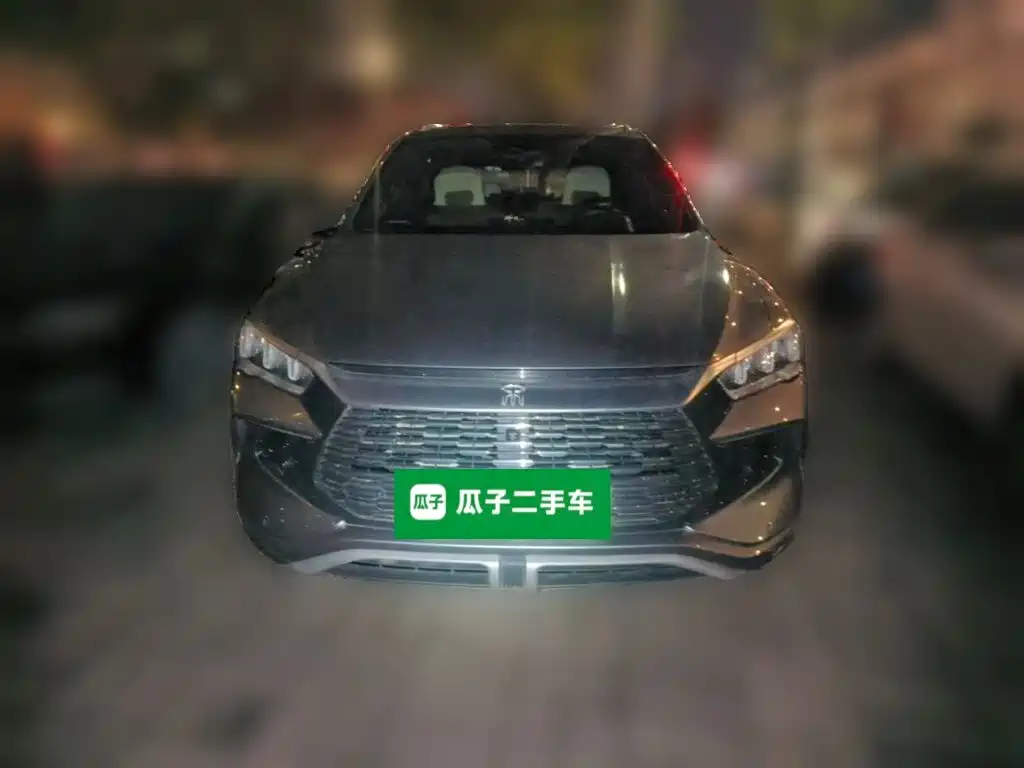BYD Pro New Energy — миниатюра 2