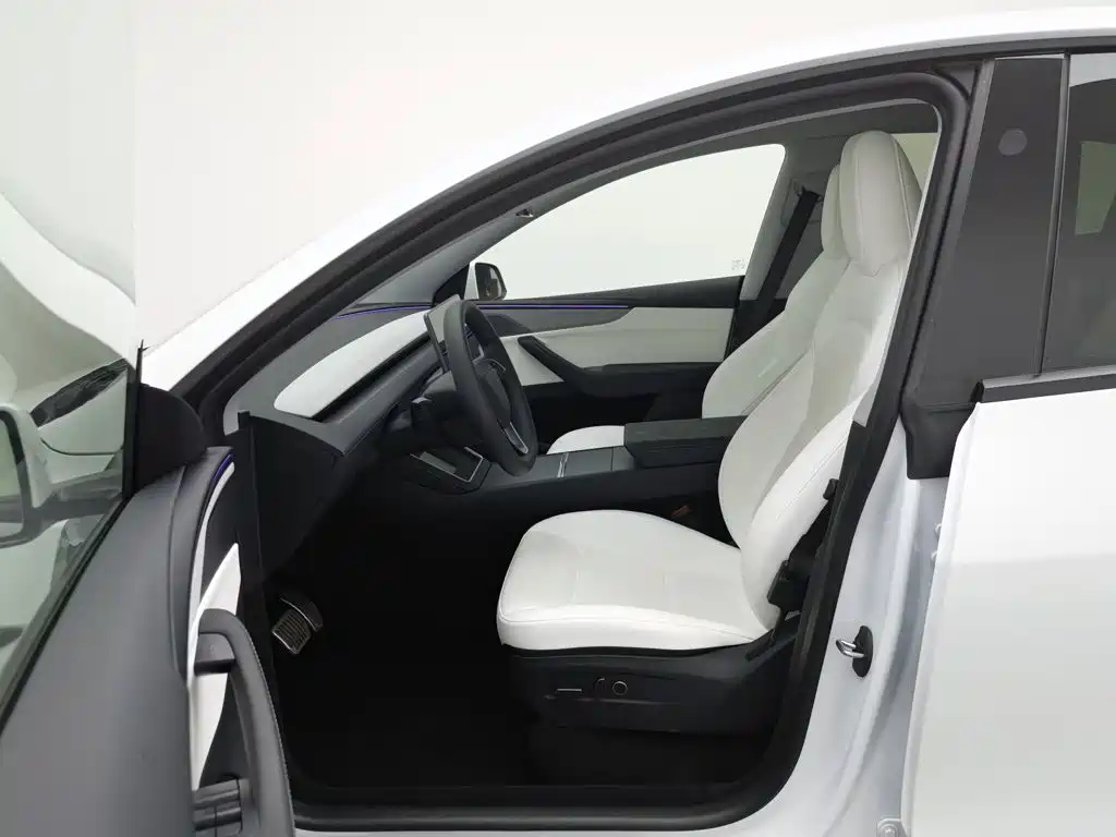 Tesla Model Y — миниатюра 10