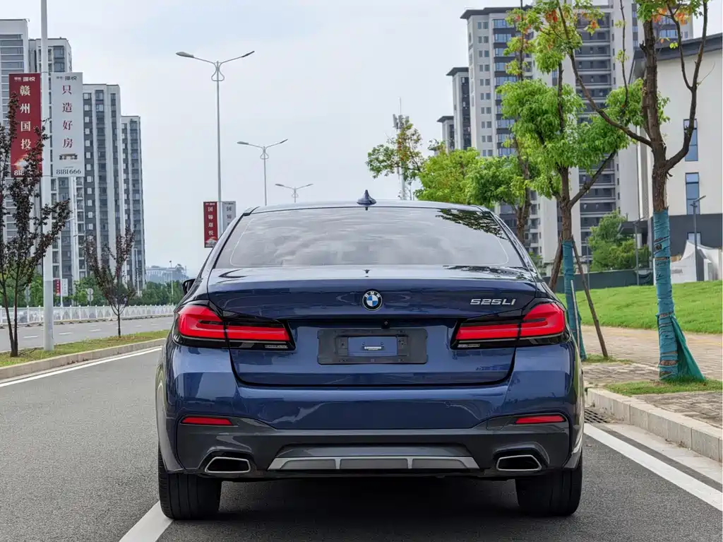 BMW 5 Series — миниатюра 4