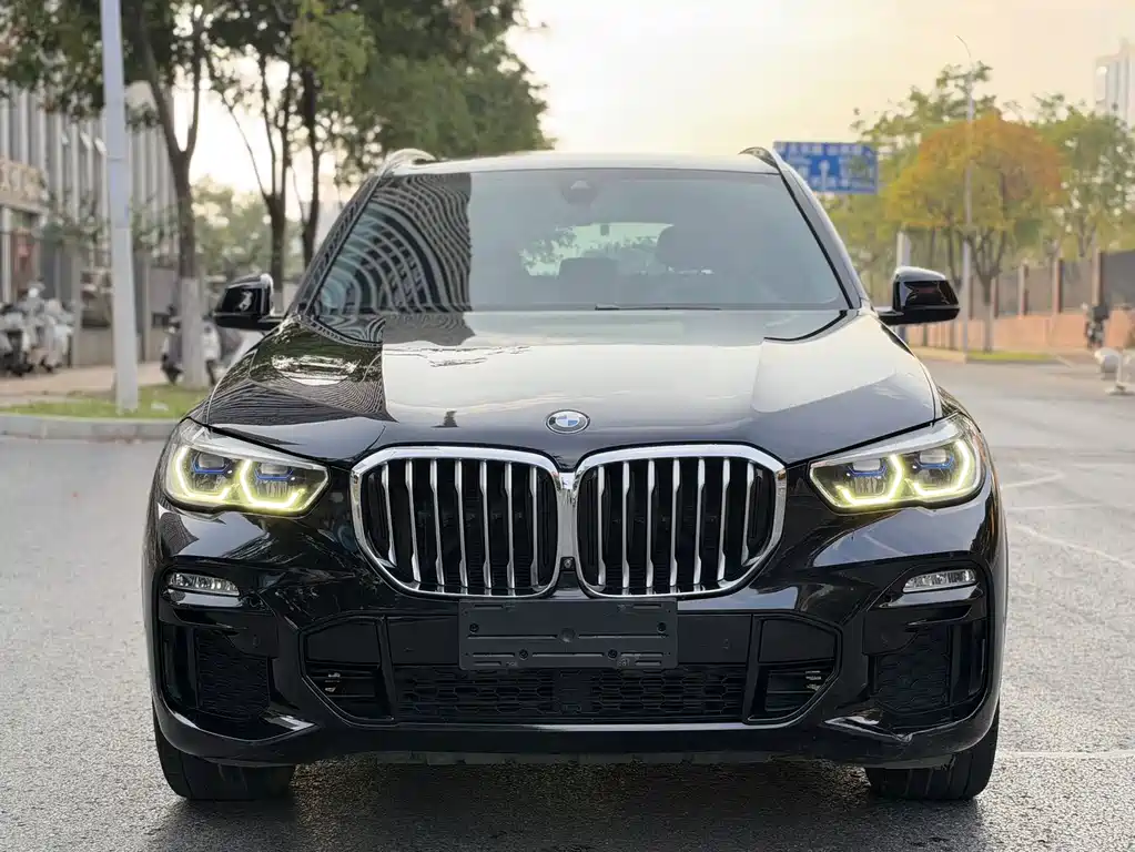 BMW X5 (Import) — миниатюра 2