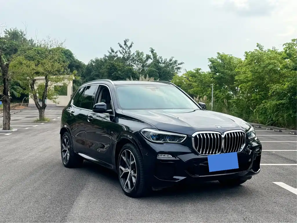 BMW X5 (Import) — миниатюра 3
