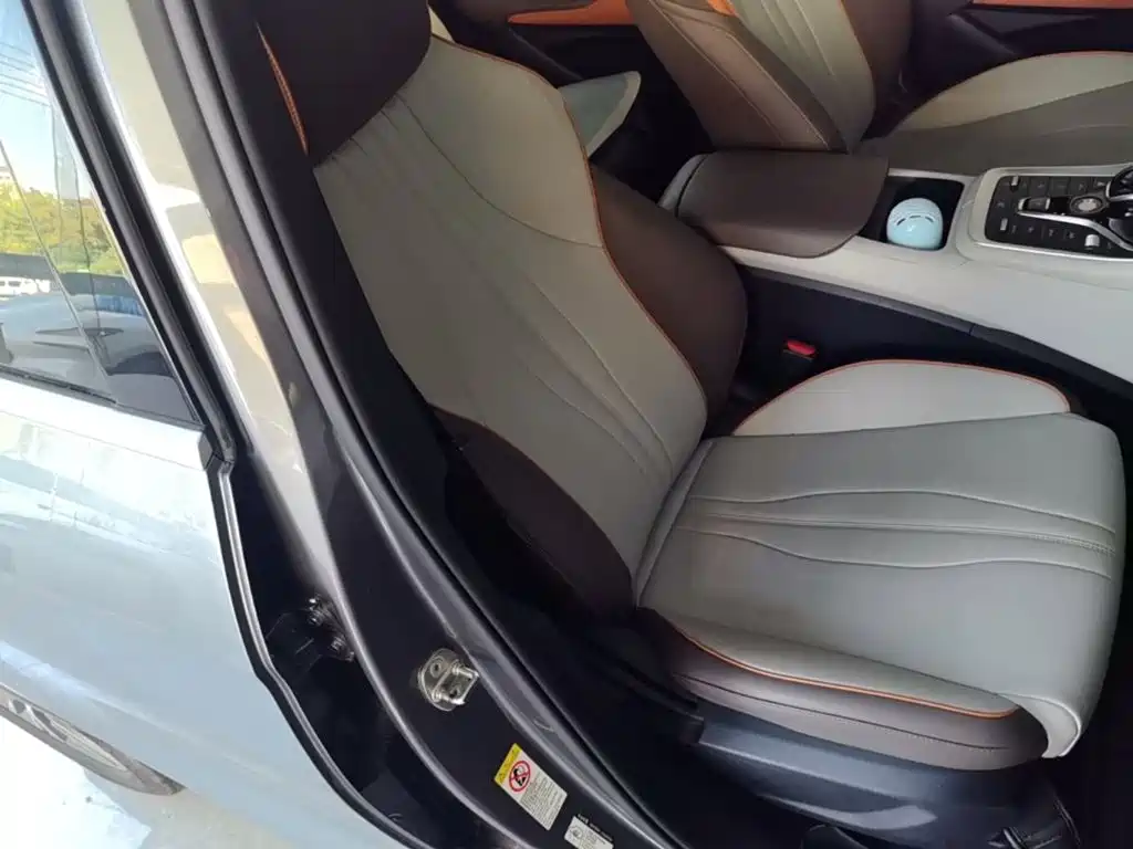 BYD Pro New Energy — миниатюра 25