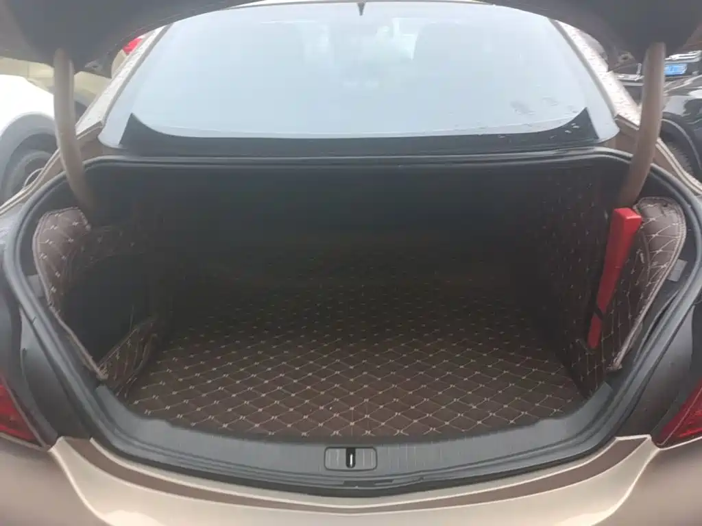 Buick Regal — миниатюра 19