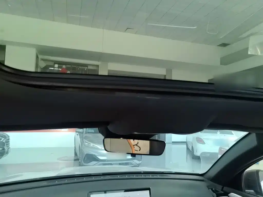 BYD Pro New Energy — миниатюра 18