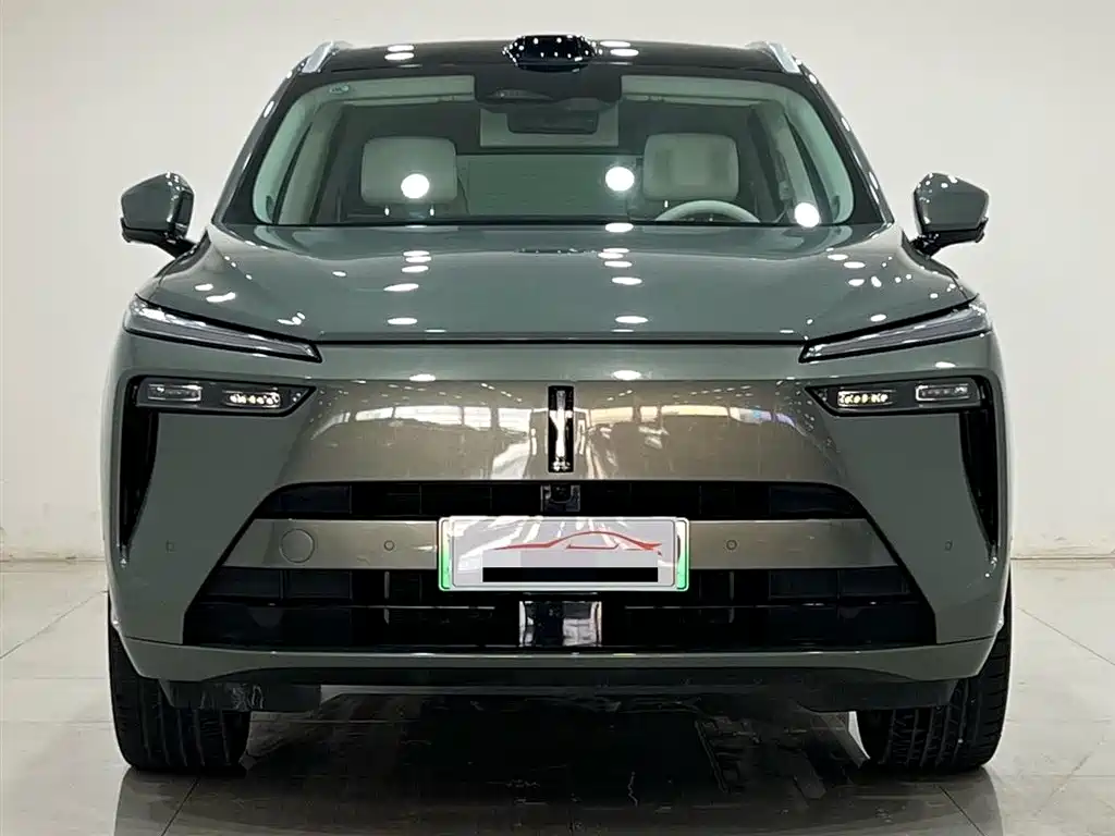 WEI PAI WEI BRAND BLUE MOUNTAIN