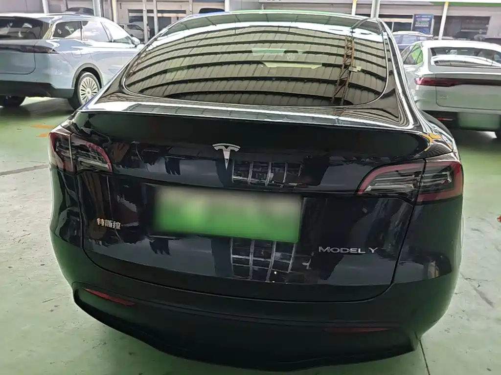 Tesla Model Y — миниатюра 6