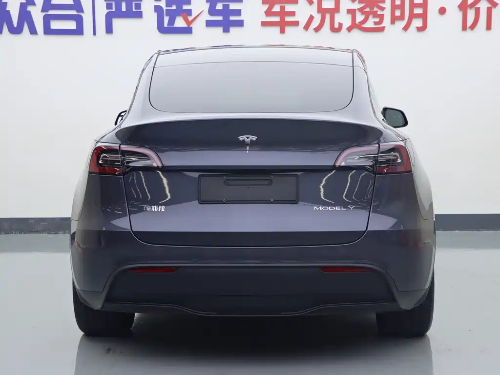 Tesla Model Y — миниатюра 21