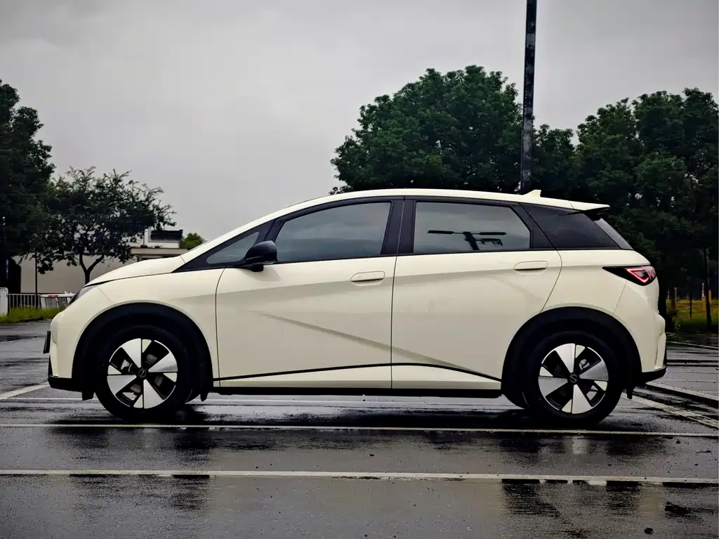 BYD Dolphin — миниатюра 4