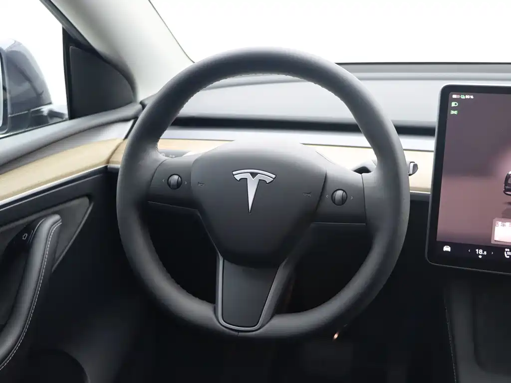 Tesla Model Y — миниатюра 16