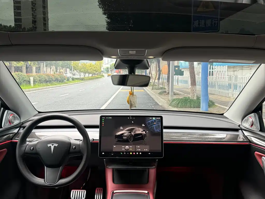 Tesla Model Y 2022 Performance