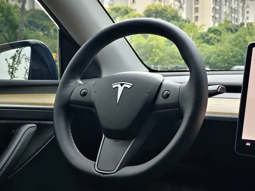 Tesla Model Y — миниатюра 16