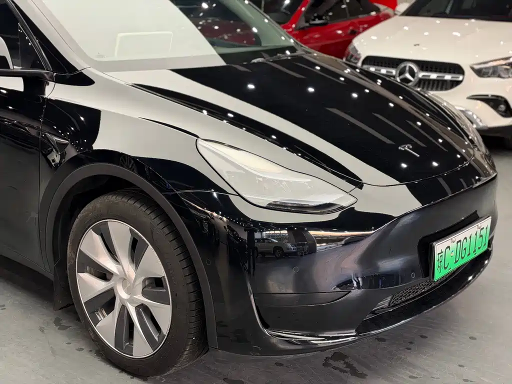 Tesla Model Y — миниатюра 4