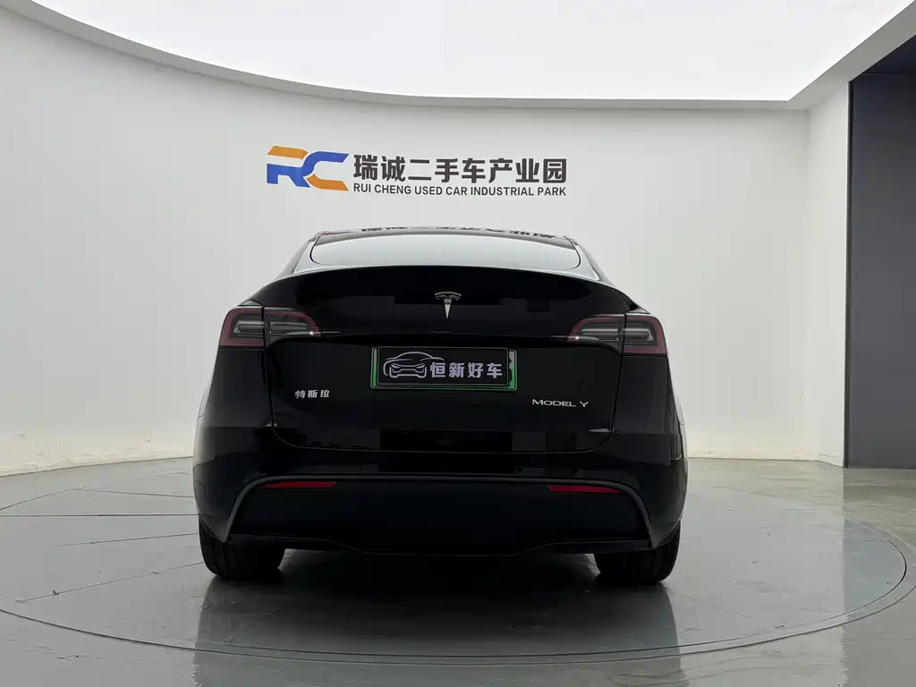 Tesla Model Y — миниатюра 5