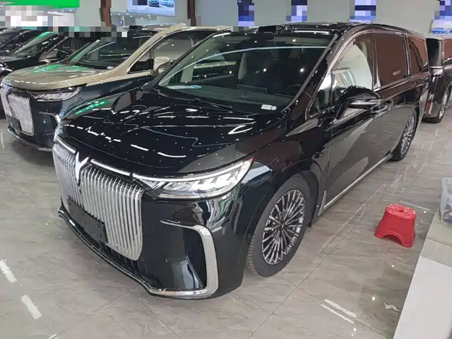 2025 Voyah Dream