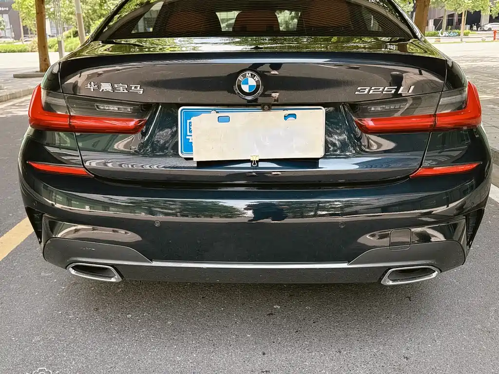 BMW 3 Series 3 2020 325Li M Sport