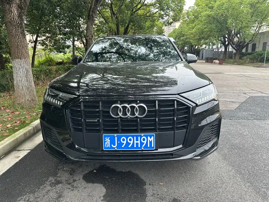 Audi Q7 — миниатюра 6