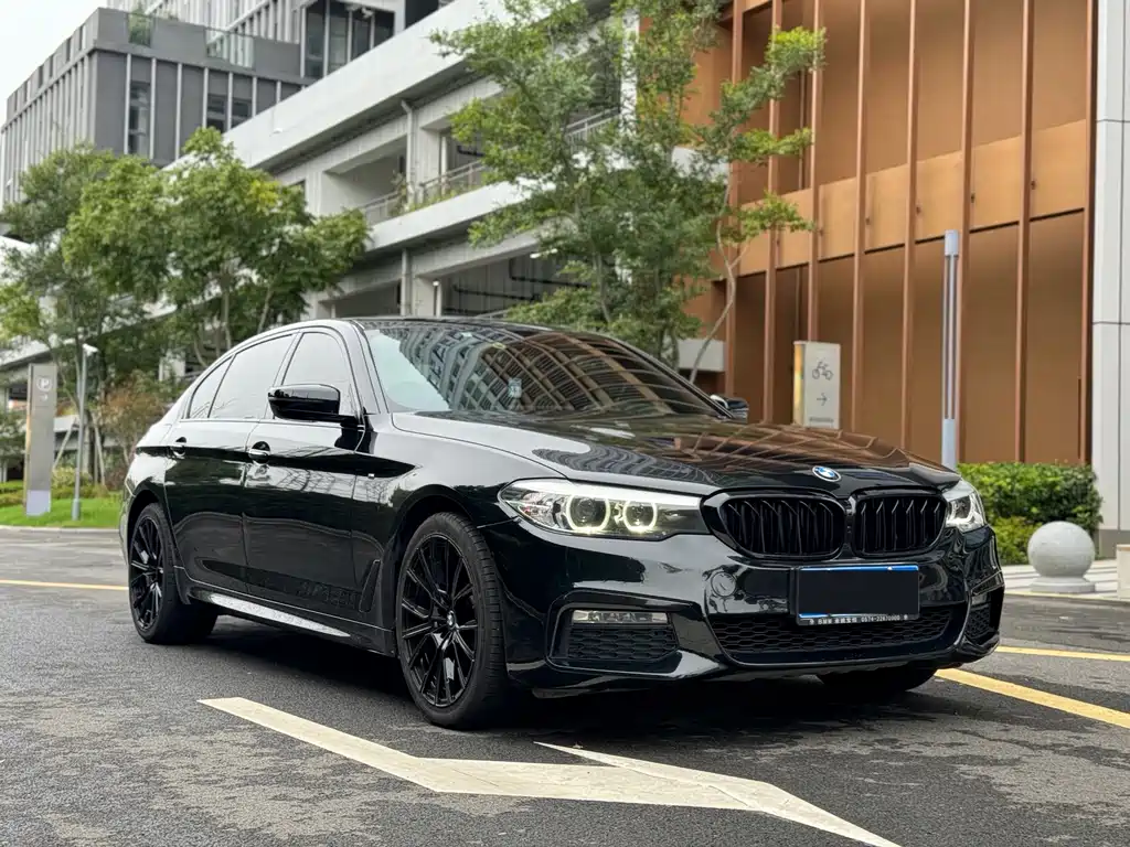 BMW 5 Series — миниатюра 3
