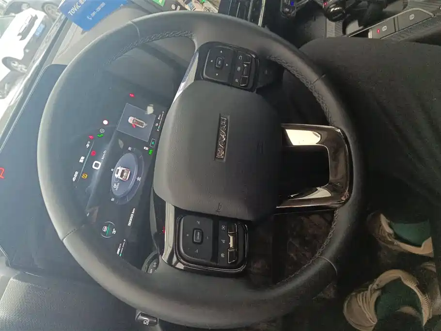 HAVAL RAPTORS NEW ENERGY